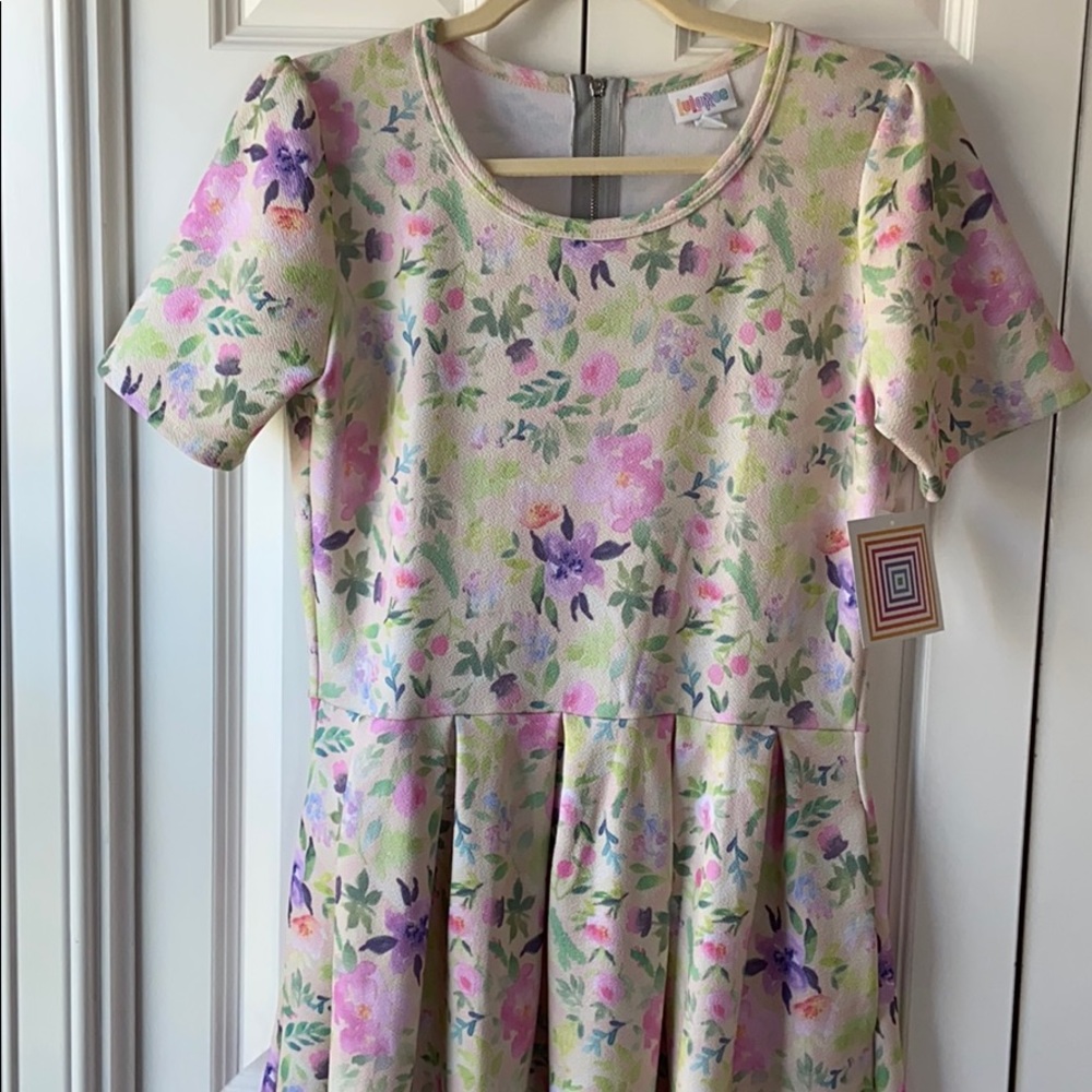 NWT LuLaRoe Amelia Dress